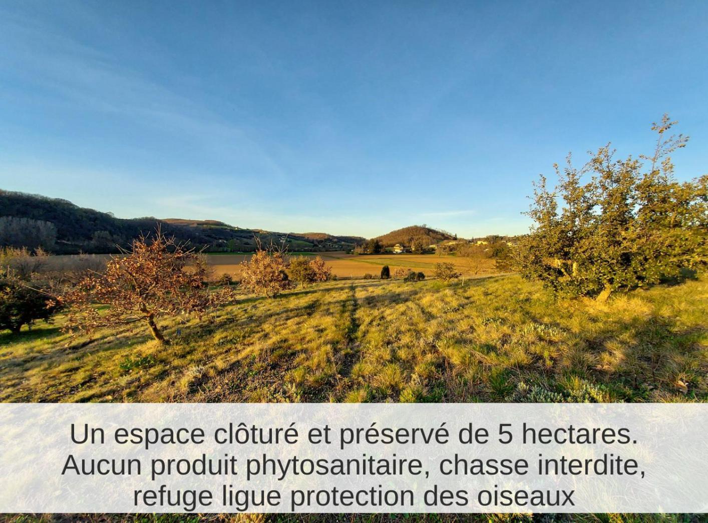 La Truffiere Des Collines - Cote Tilleul Génissieux Екстериор снимка